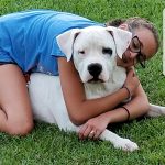 Girl hugging a white dog